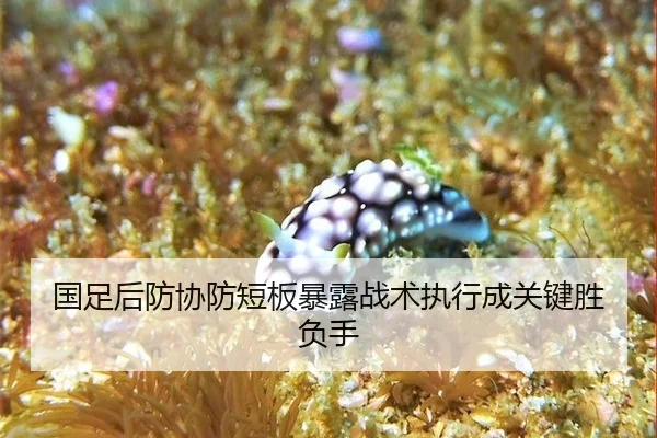guo-zu-hou-fang-xie-fang-duan-ban-bao-lu-zhan-shu-zhi-xing-cheng-guan-jian-sheng-fu-shou-1-990.jpg